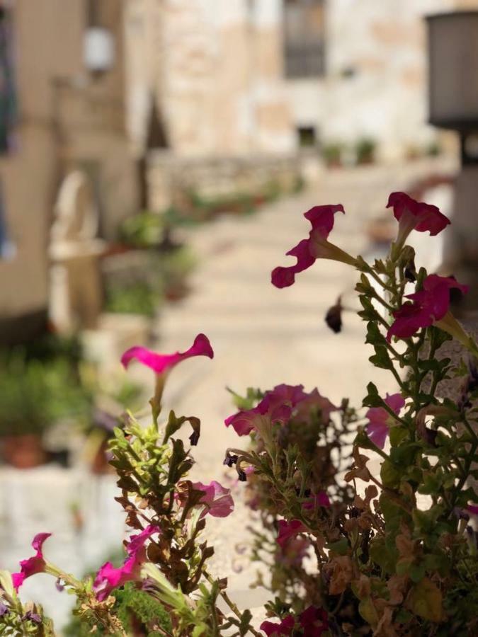 Casa Rural Mirador โบไกเรนต์ ภายนอก รูปภาพ